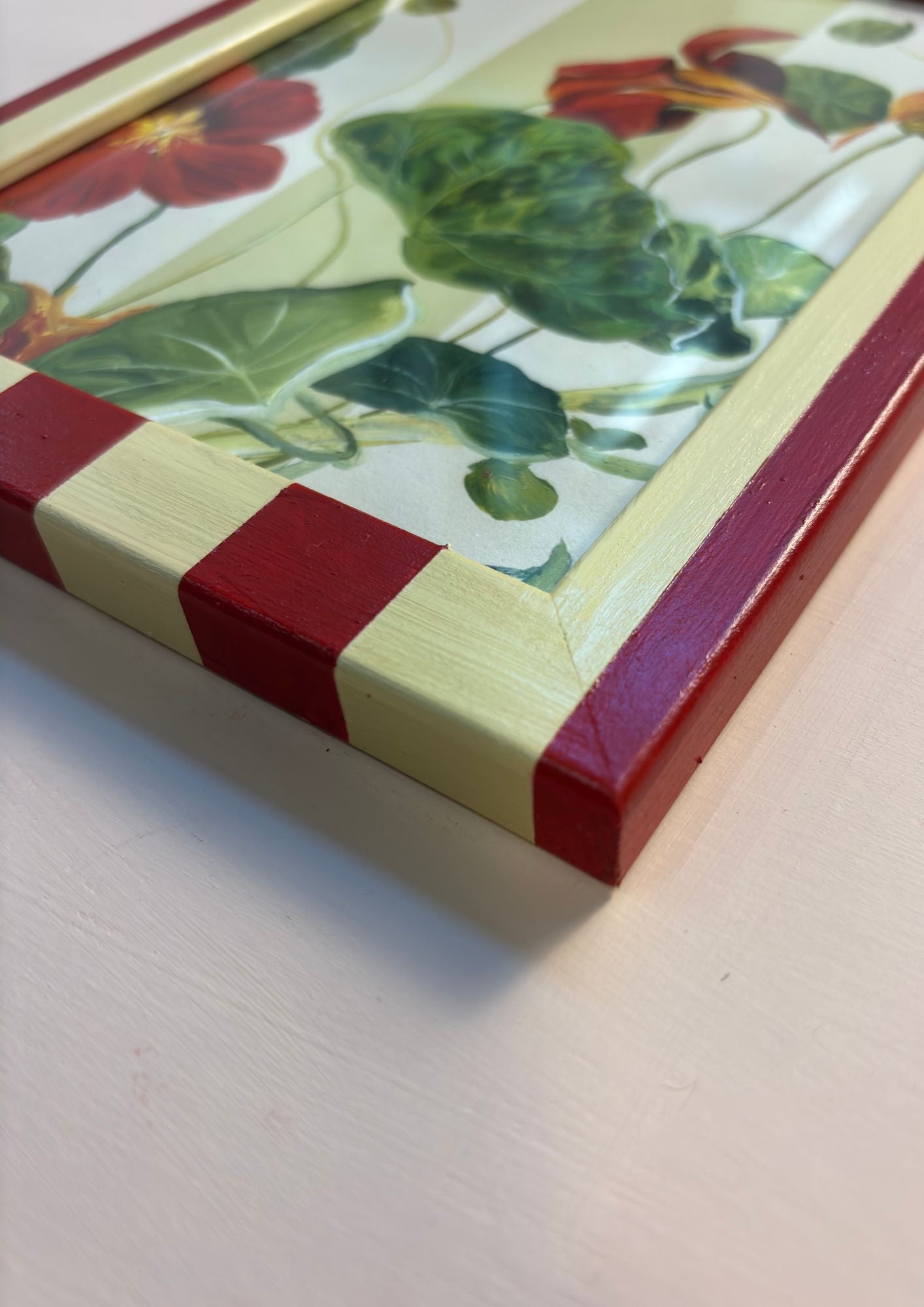 Red Nasturtium in Butter and Red Striped Frame
