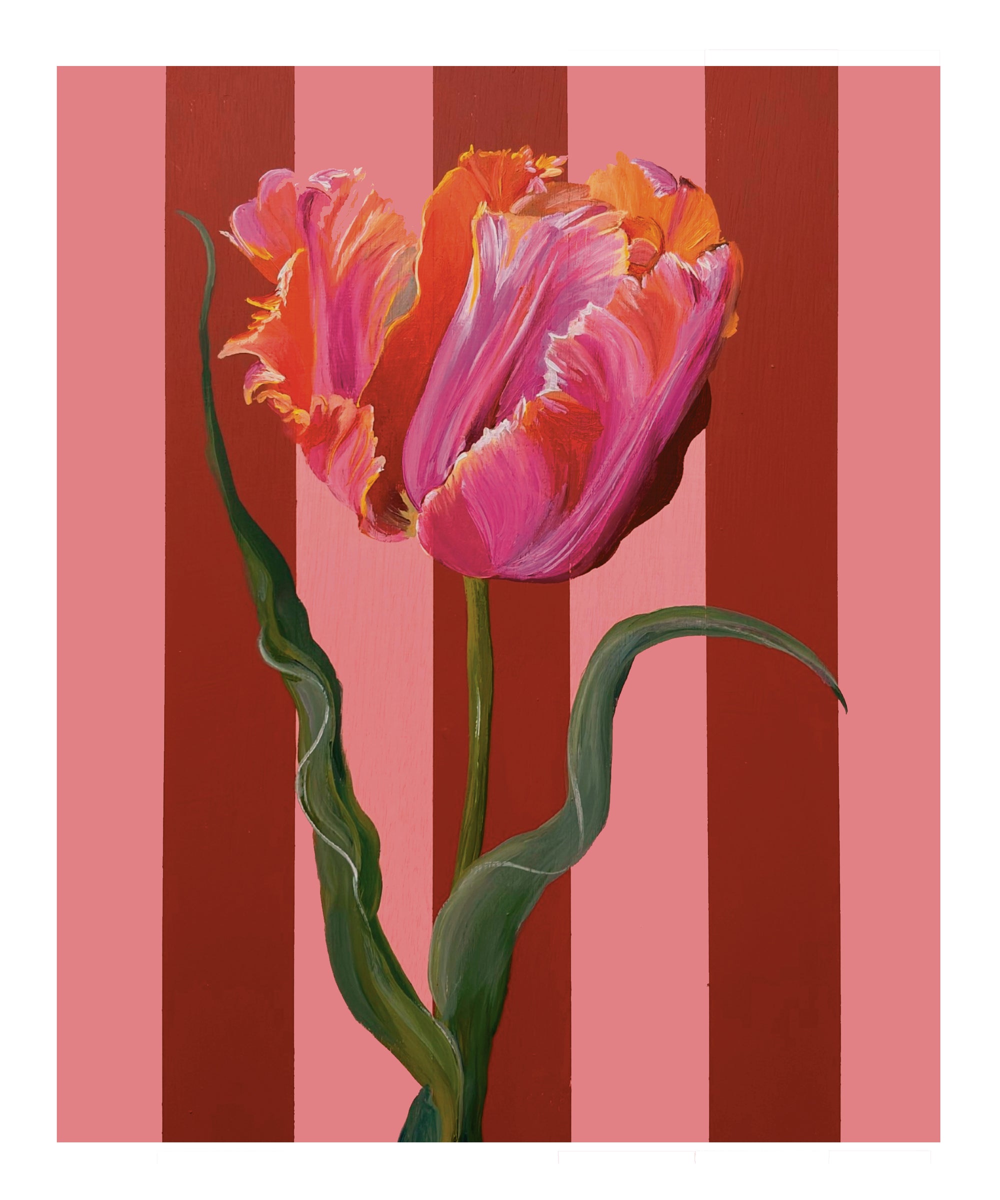 Tulip in Bloom Framed in Blush Pink, Deep Red & Cocoa Brown