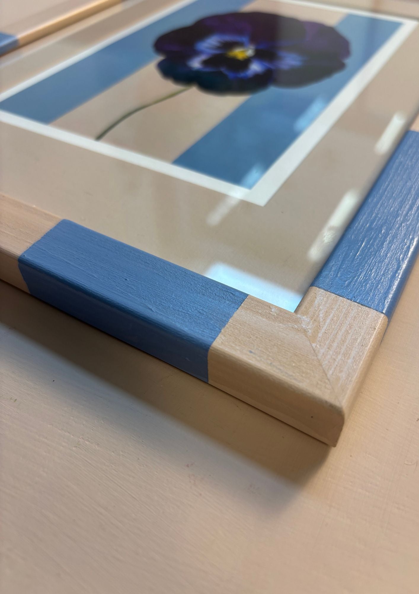 Blue Pansy in Sky Blue and Pink Striped Frame