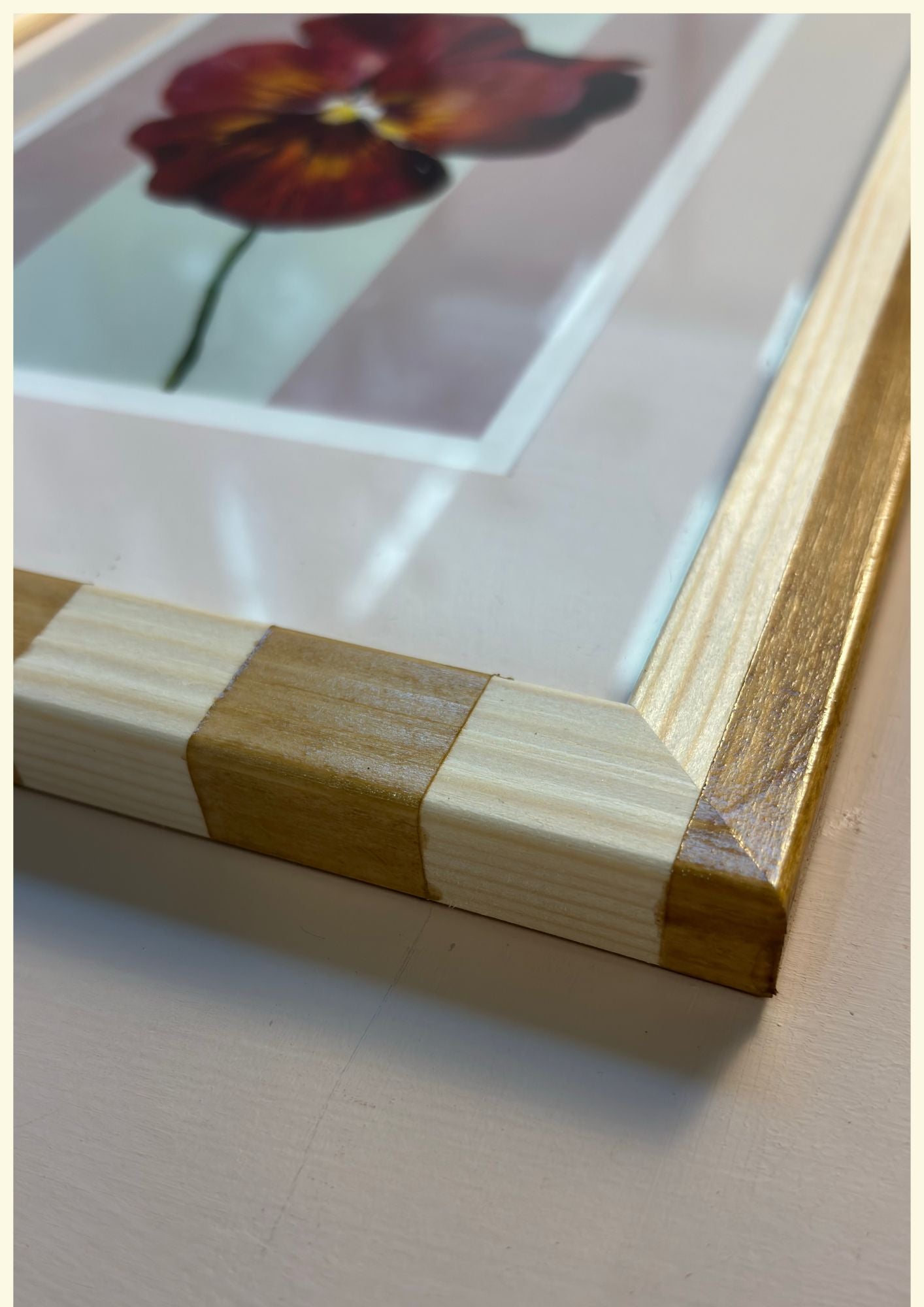 Clove Red Pansy in Wood Stained Stripe