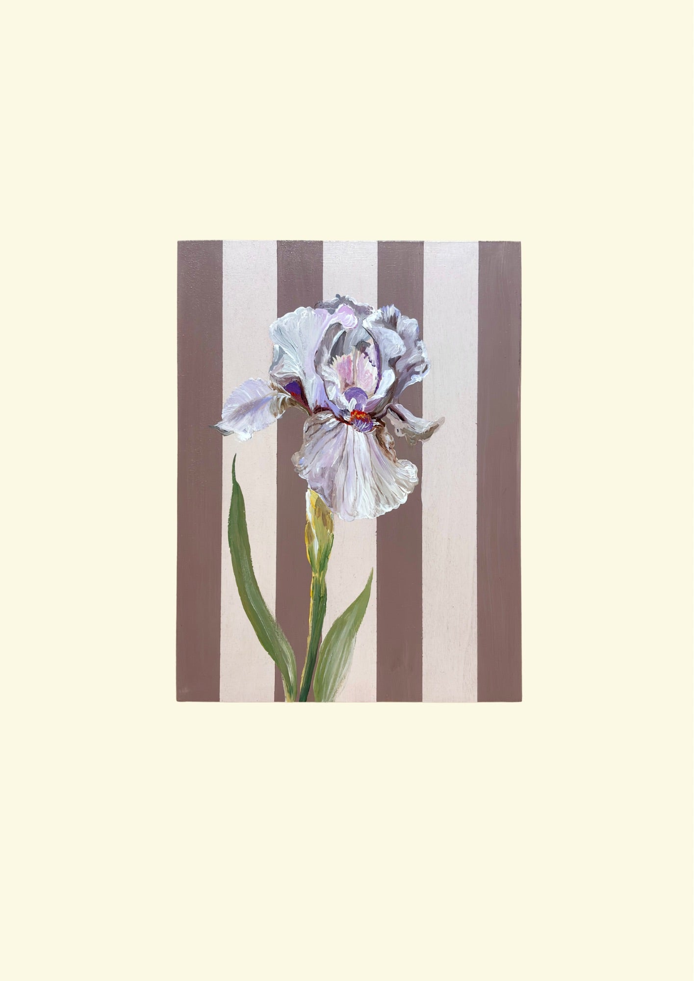 Iris Study on Blush Stripes