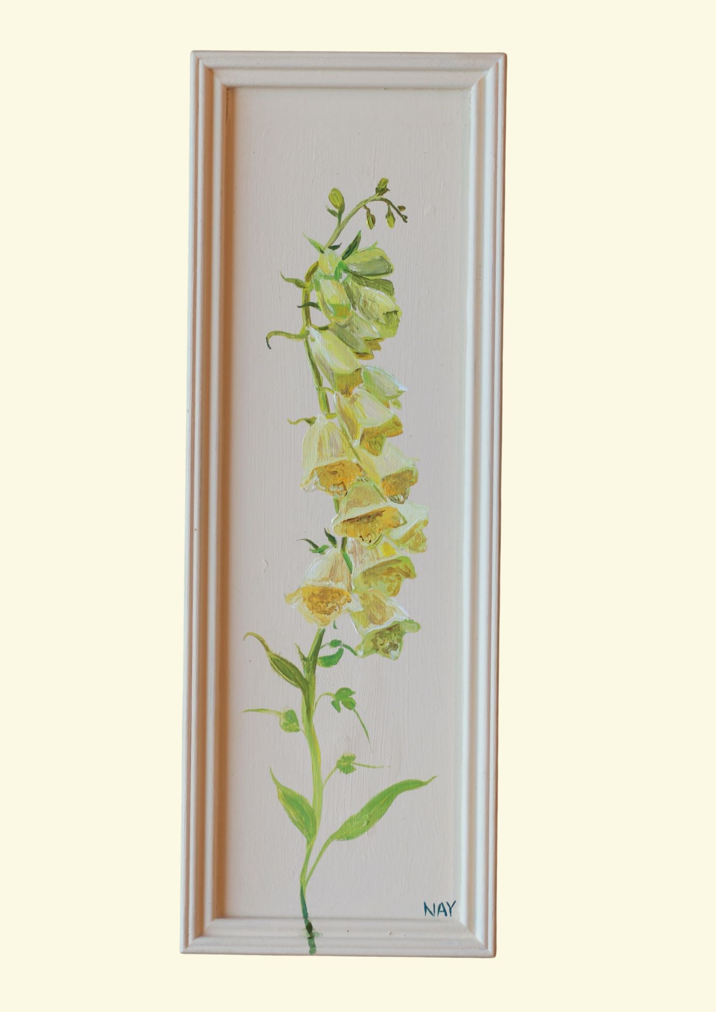 Butter Foxglove