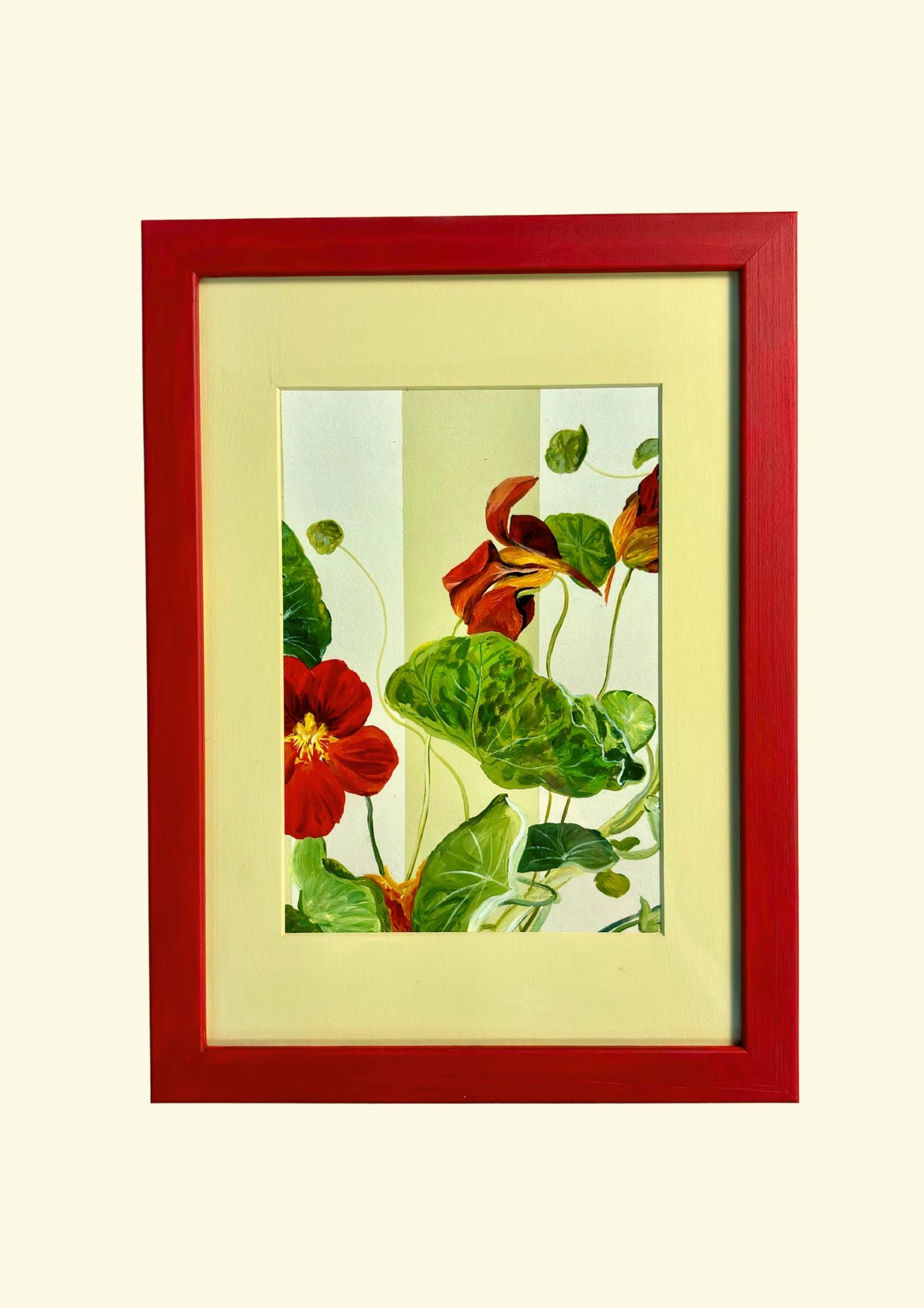 Red Nasturtium in Red Frame