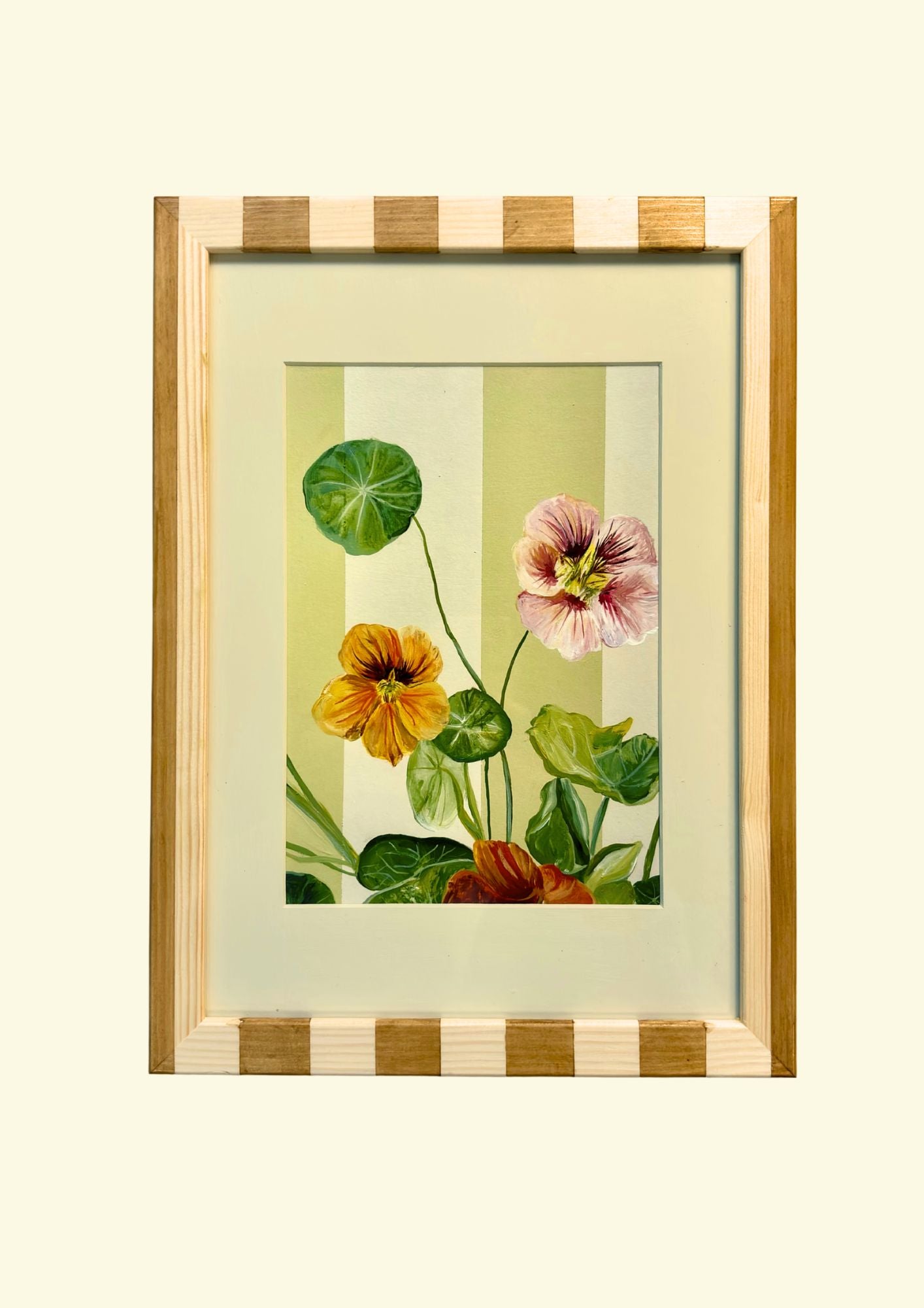 Mixed Nasturtium in Wood Stained Stripe