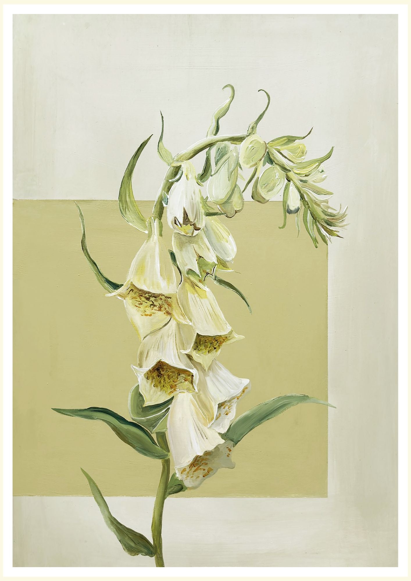 Butter Foxglove Print