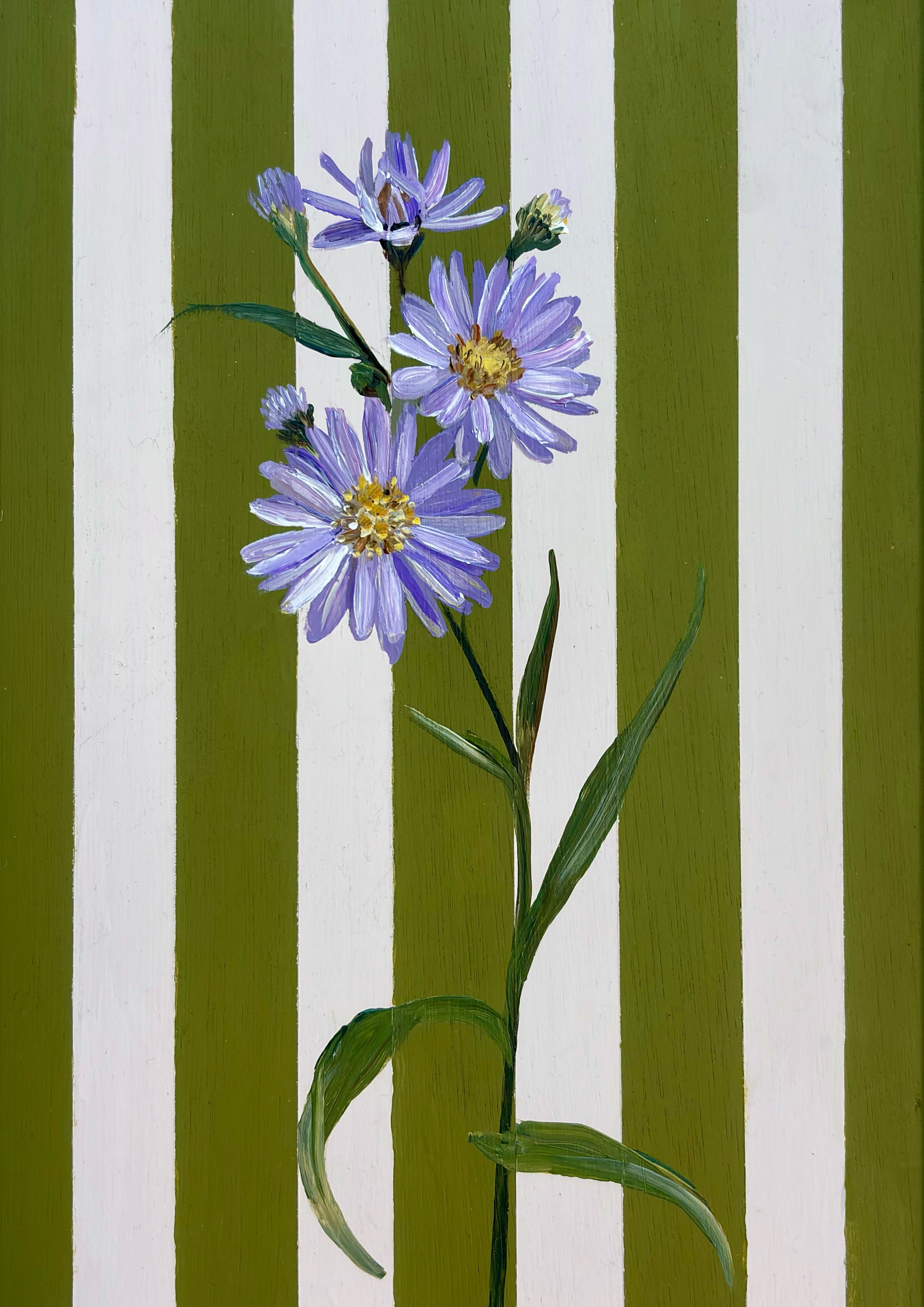 Aster - September Birth Flower Framed Print
