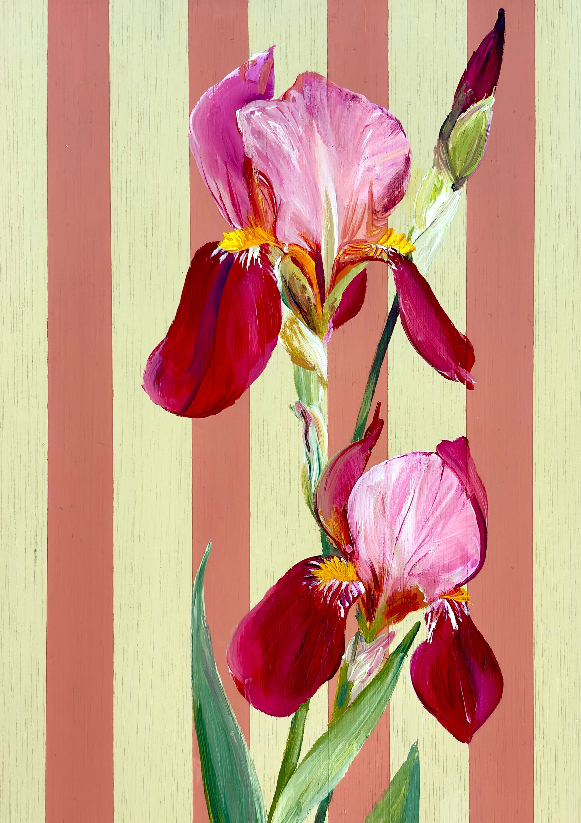 Iris - February Birth Flower Framed Print