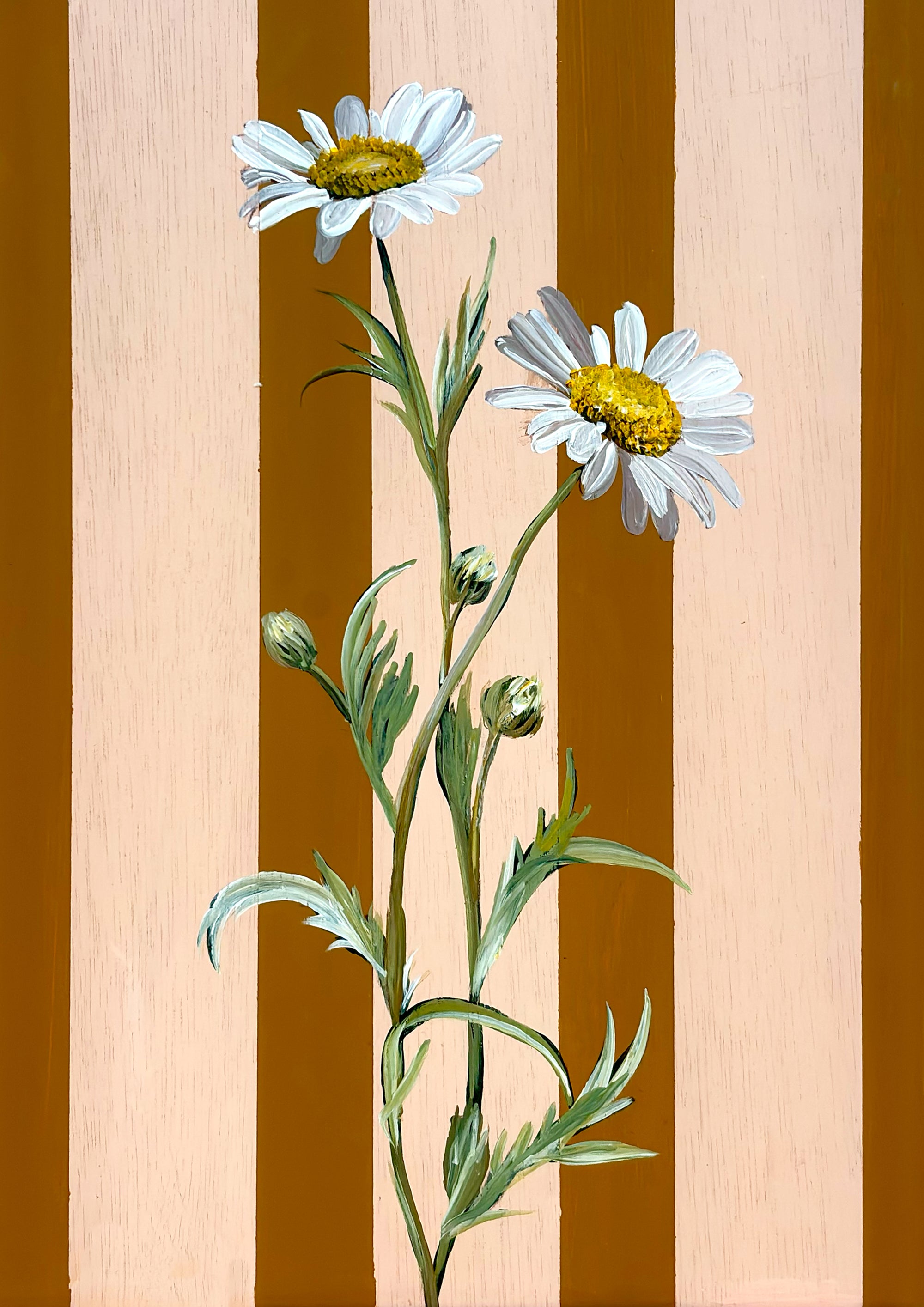 Daisy - April Birth Flower Framed Print