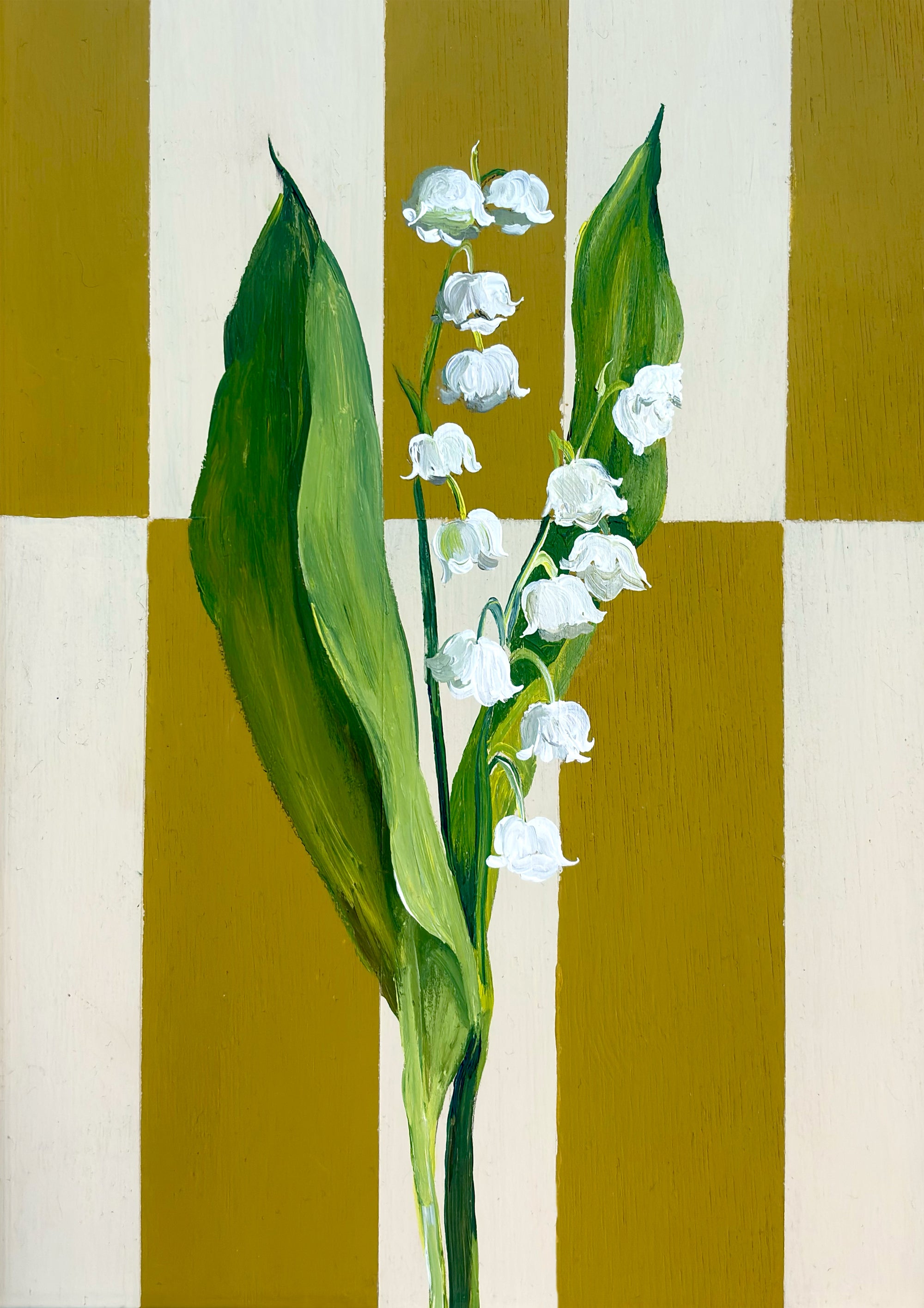 May's Lily of the Valley