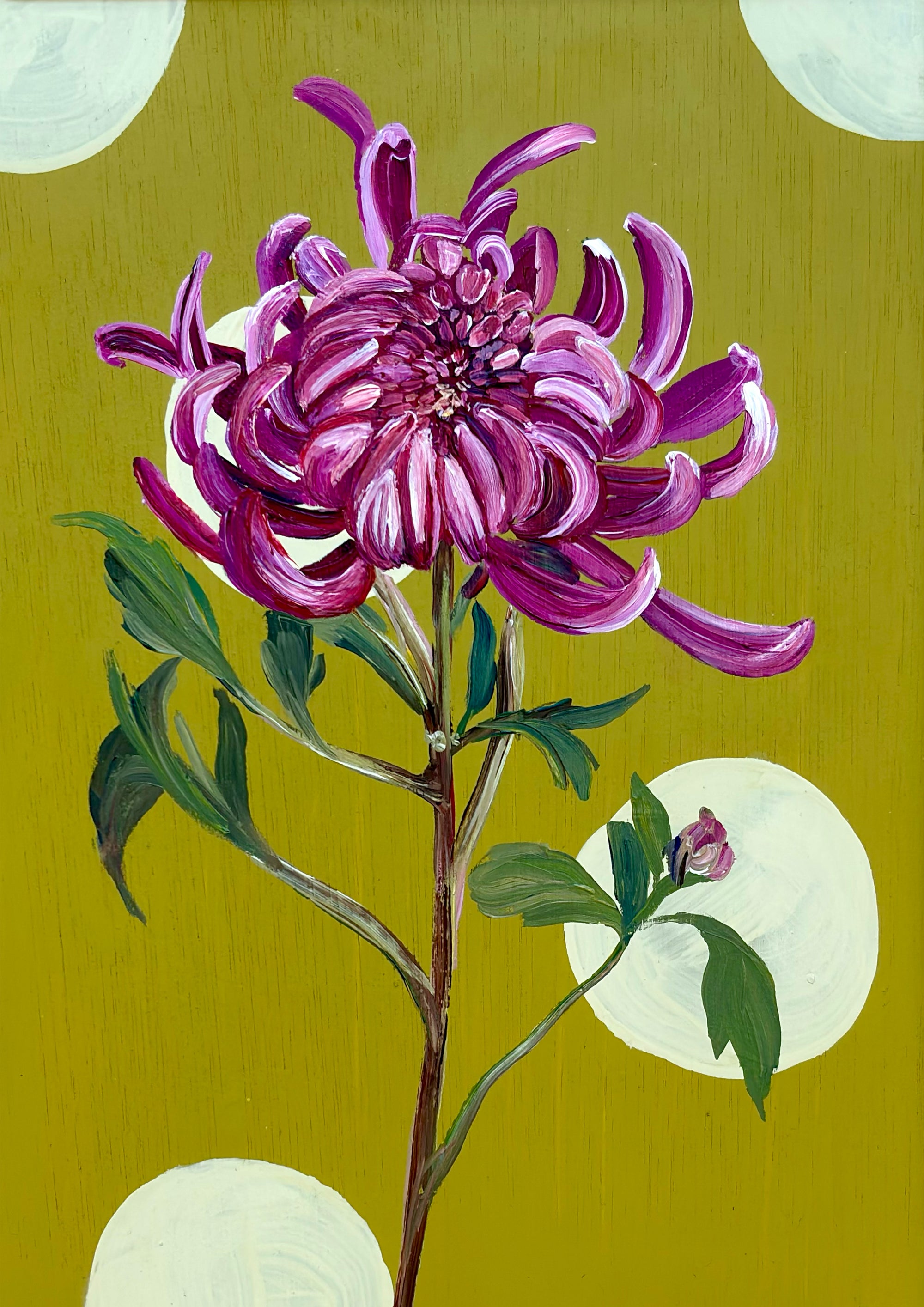 November's Chrysanthemum