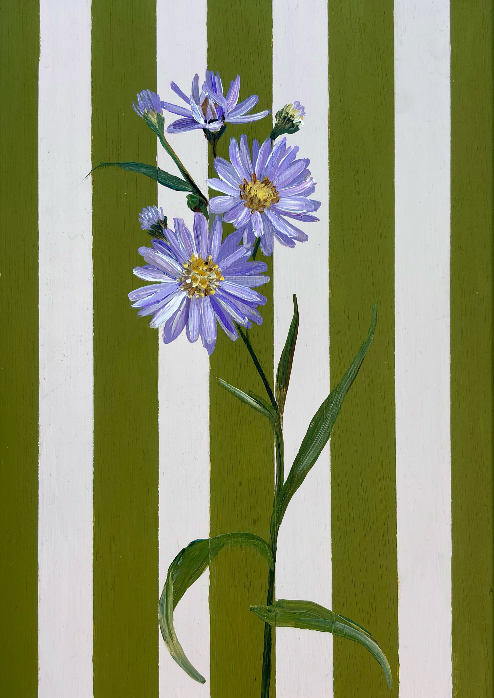September's Aster