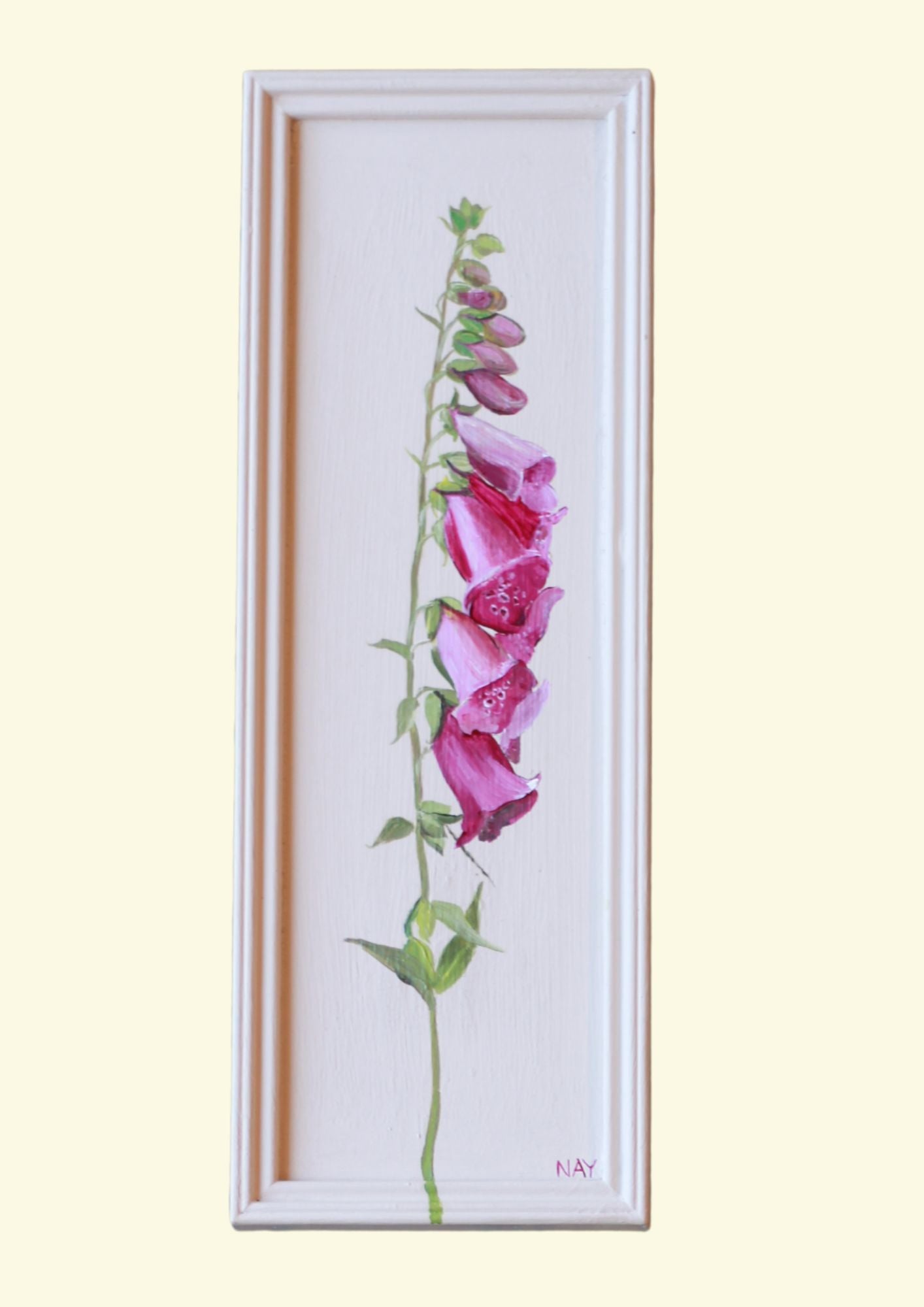 Foxglove in Raspberry