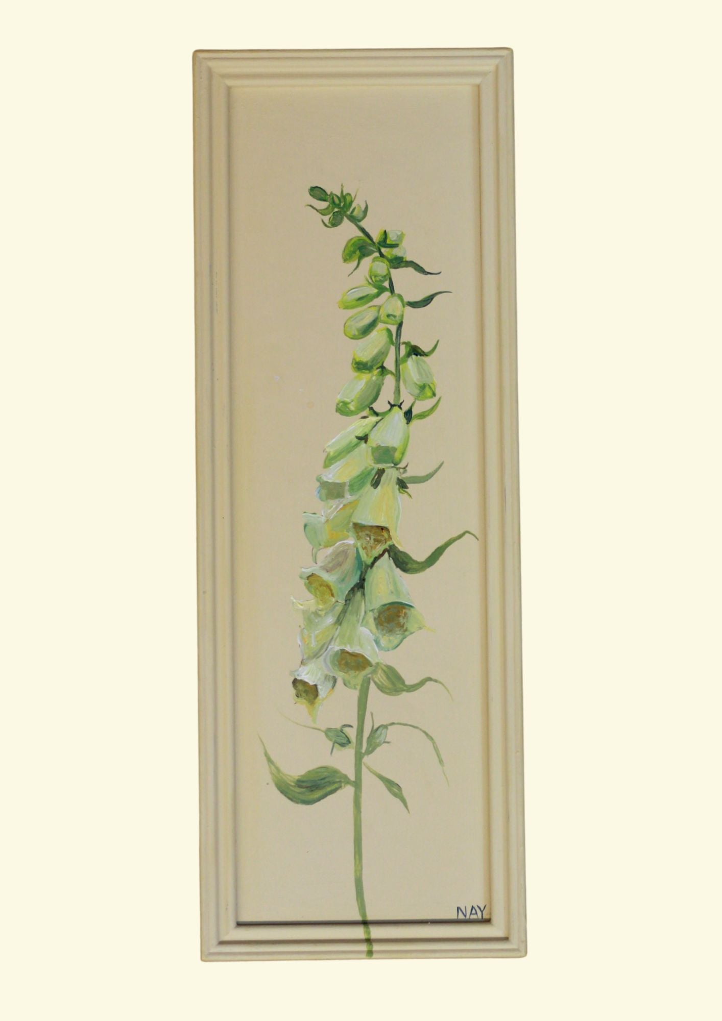 Primrose Foxglove