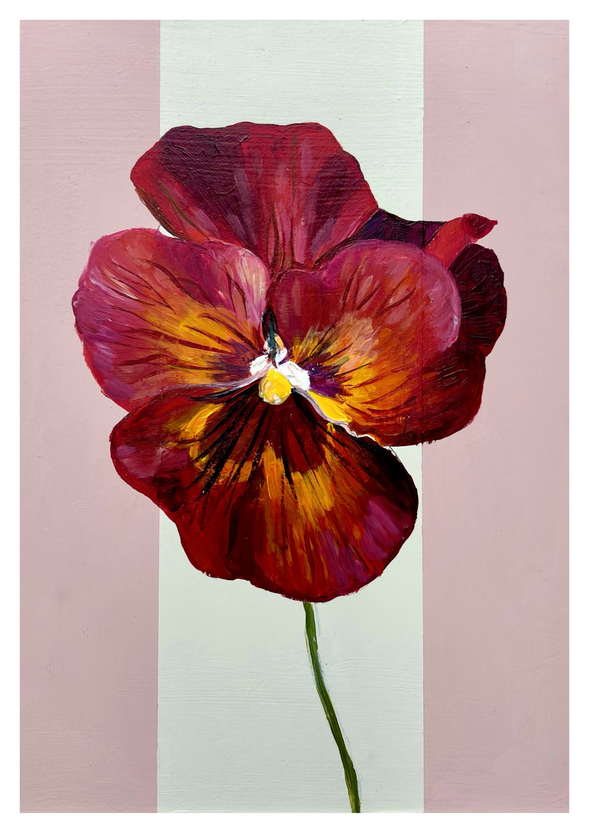 Clove Red Pansy in Wood Stained Stripe