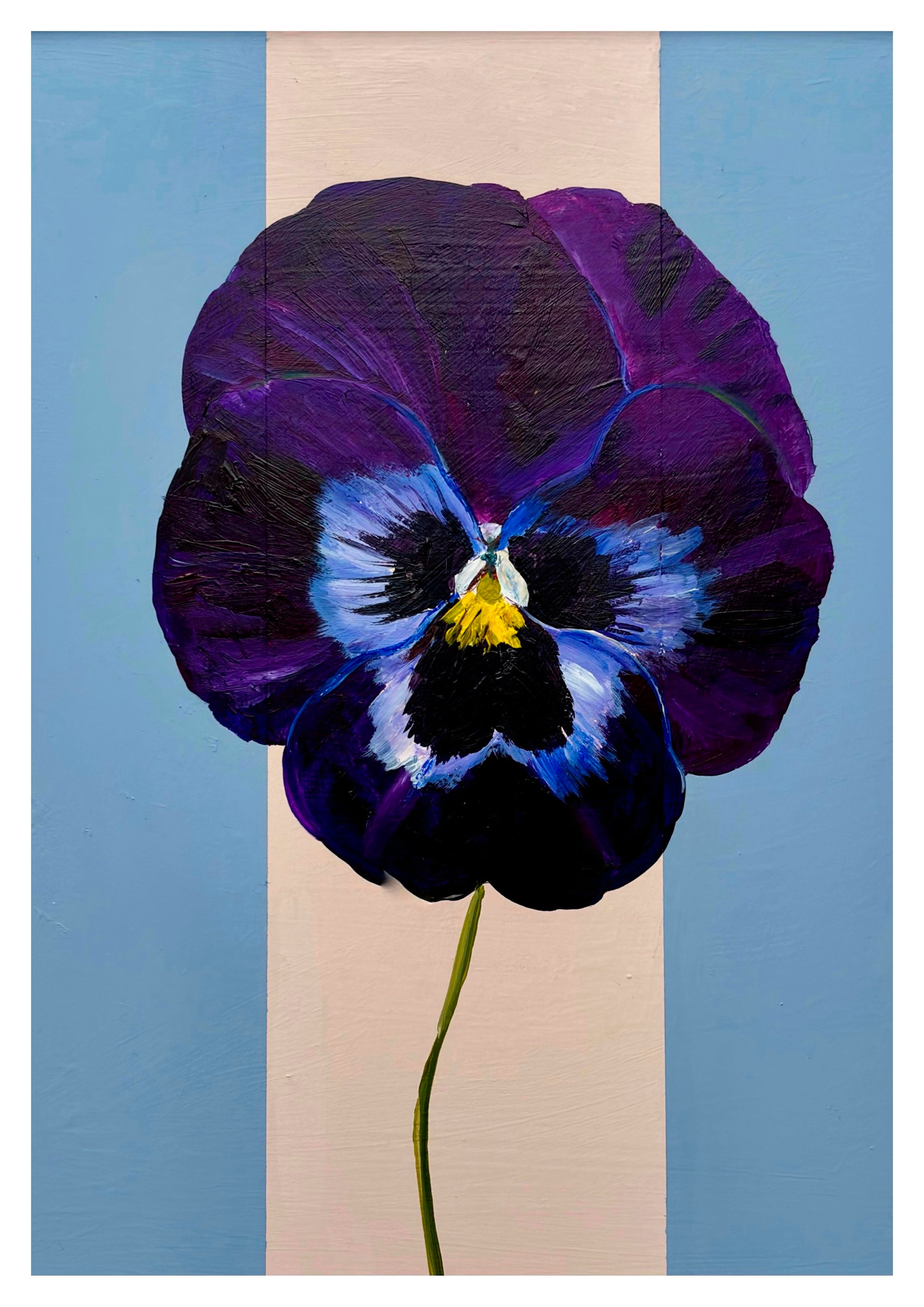Blue Pansy in Sky Blue and Pink Striped Frame