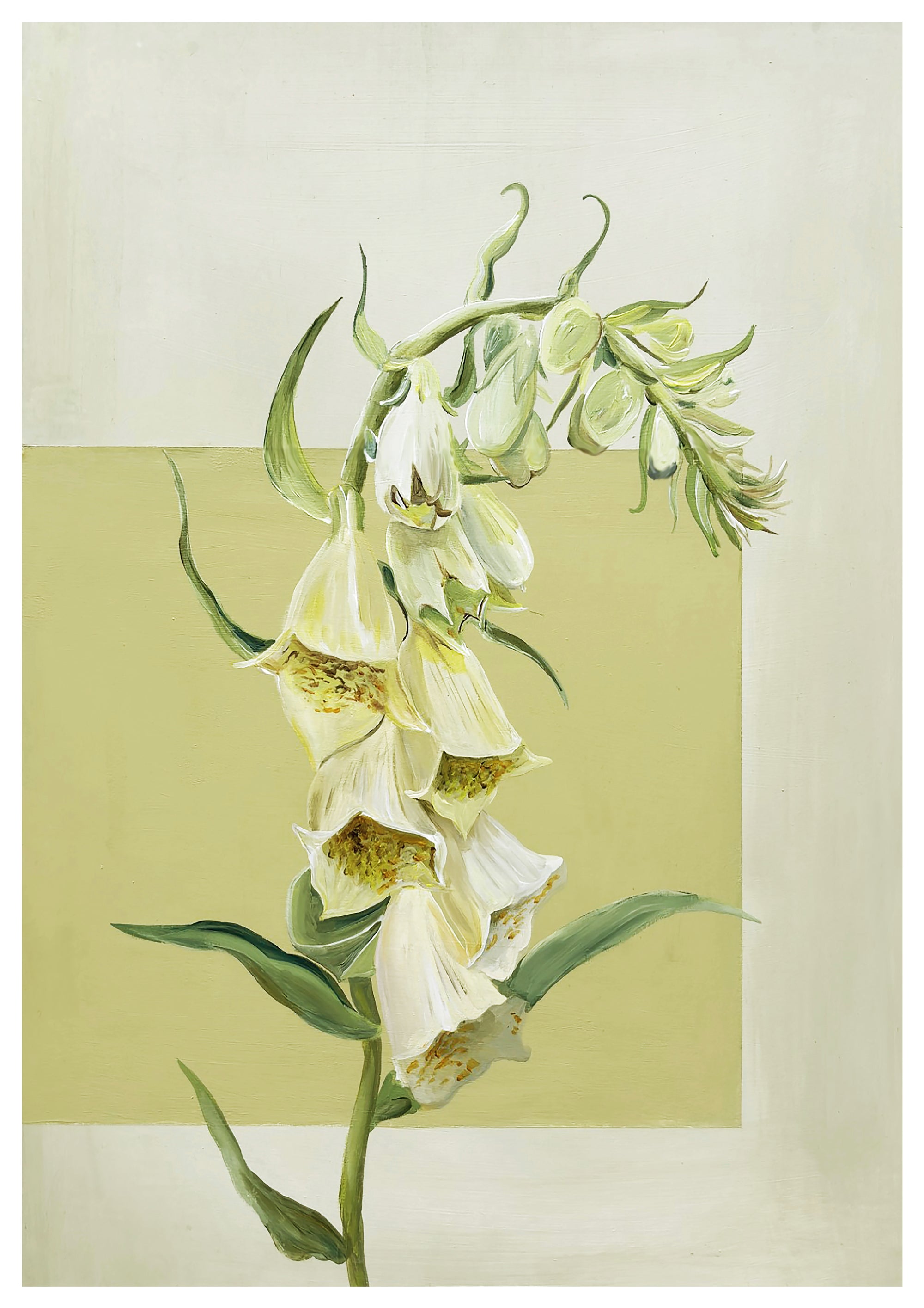 Butter Foxglove in Striped Frame