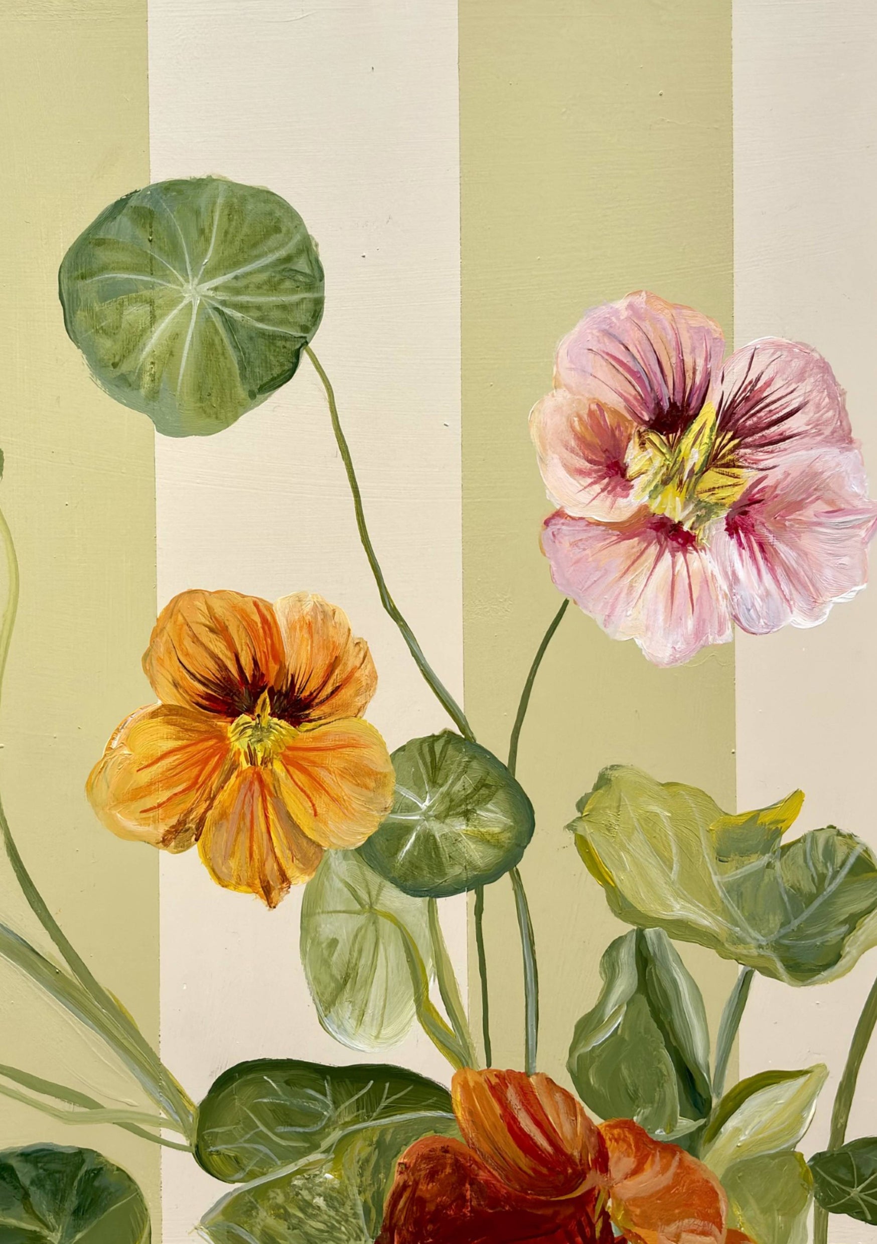 Mixed Nasturtium in Wood Stained Stripe