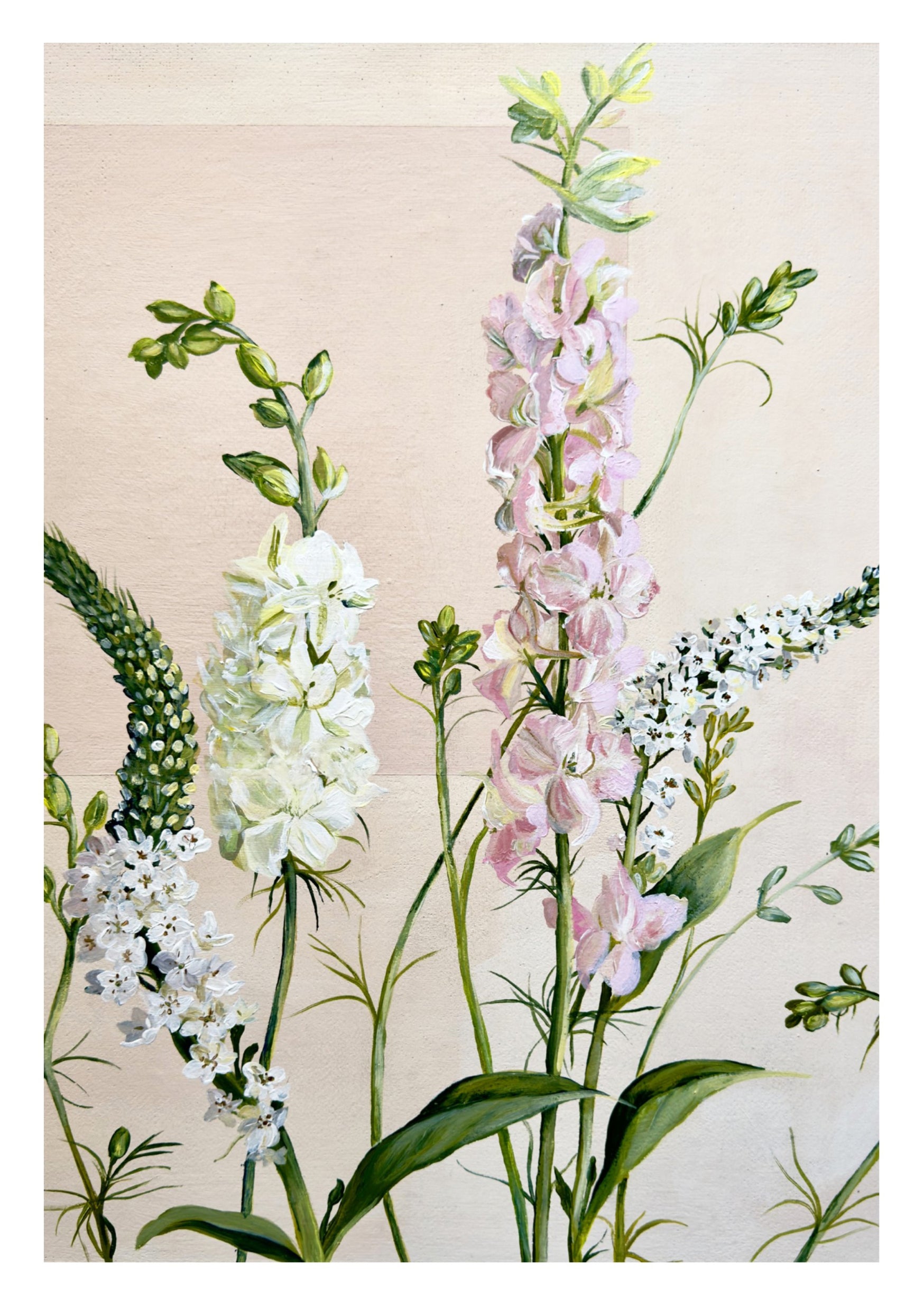 Pink Larkspur in Wooden Frame