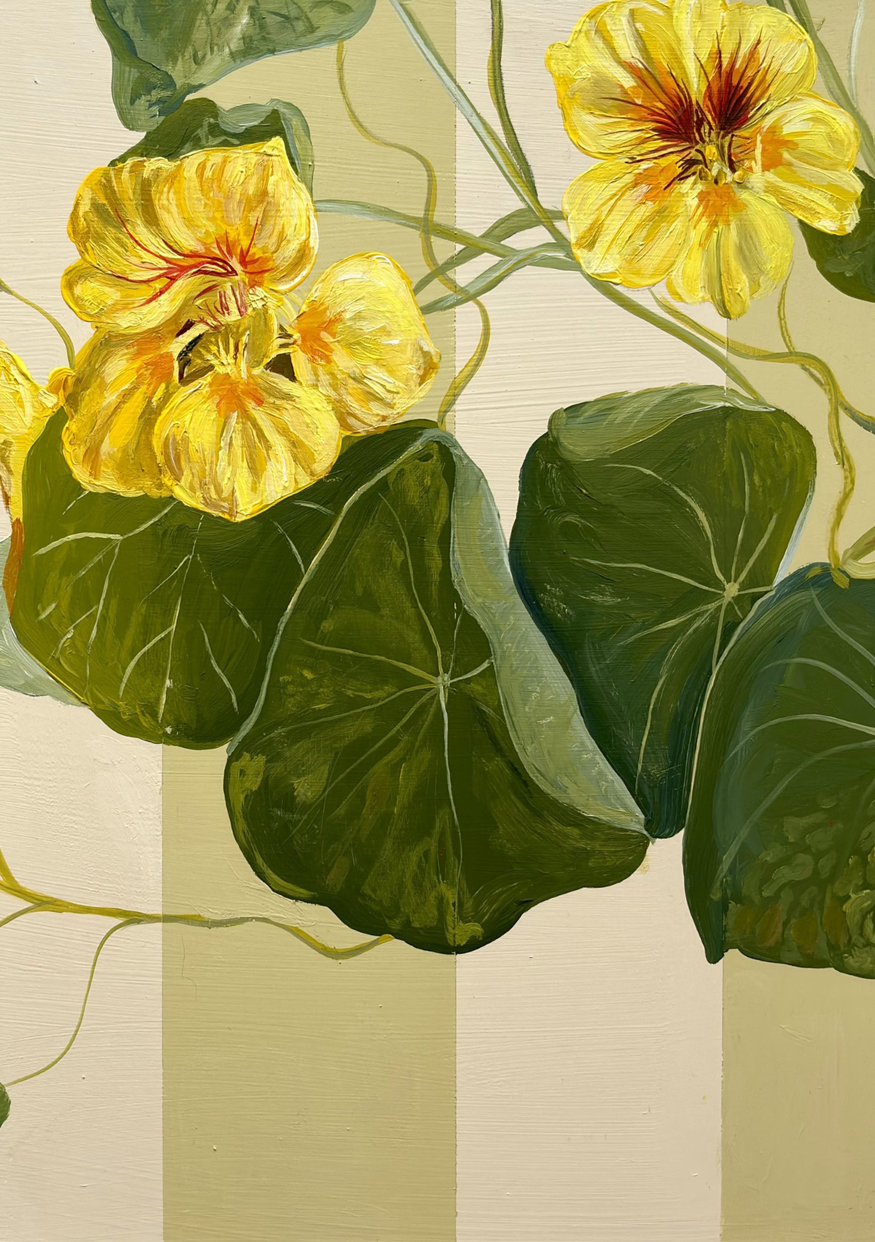Yellow Nasturtium in Creamy Green Frame