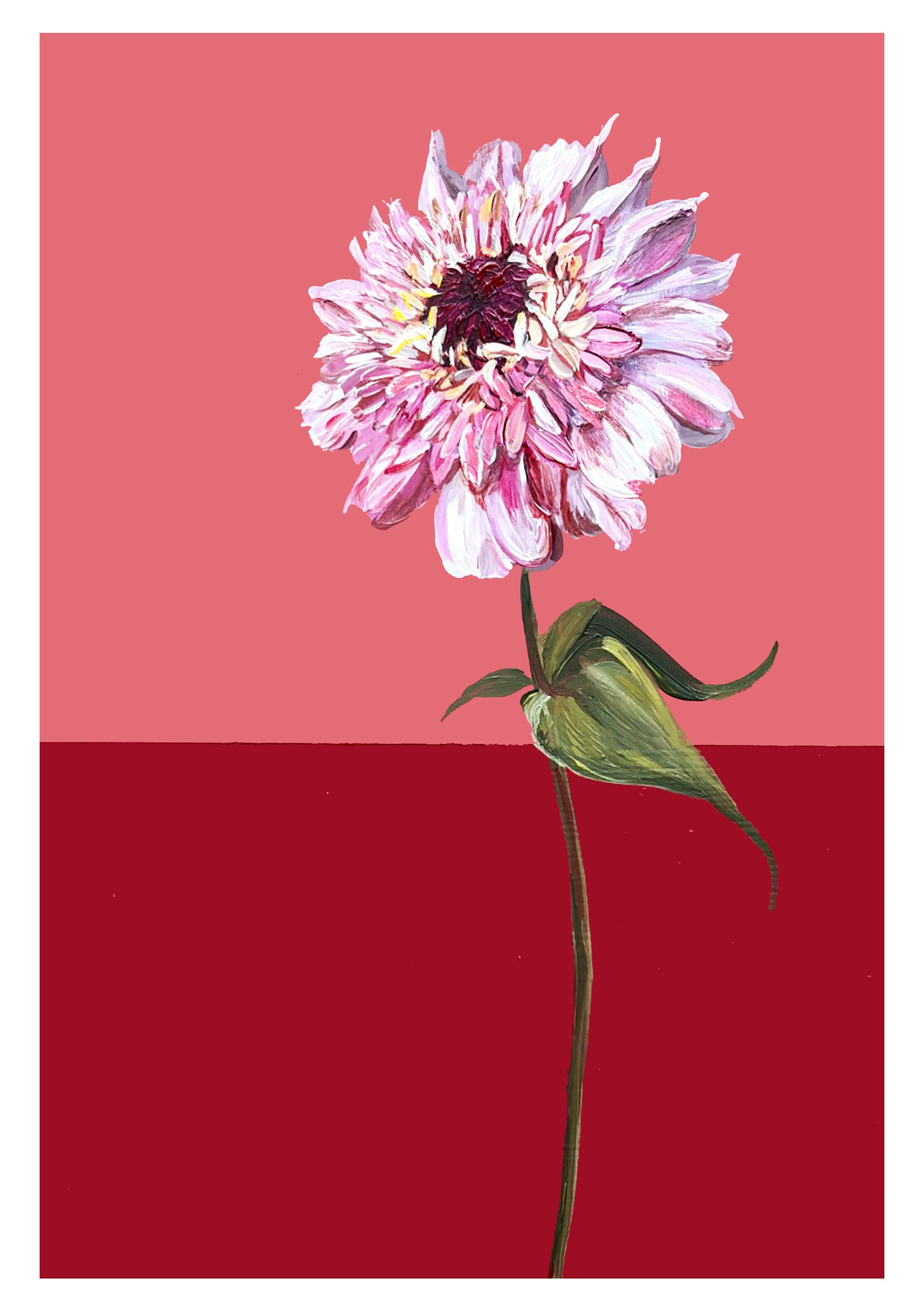 Zinnia in Pink and Red Colour Block Frame
