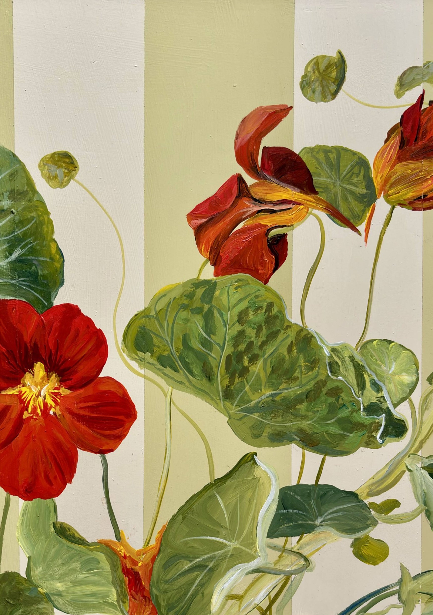Red Nasturtium in Butter and Red Striped Frame