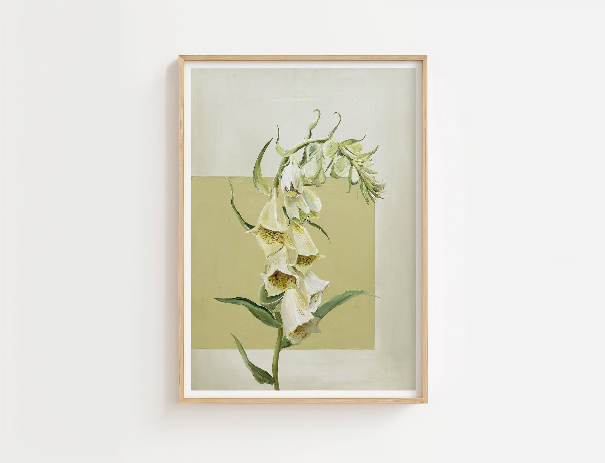 Limited Edition - Butter Foxglove Print