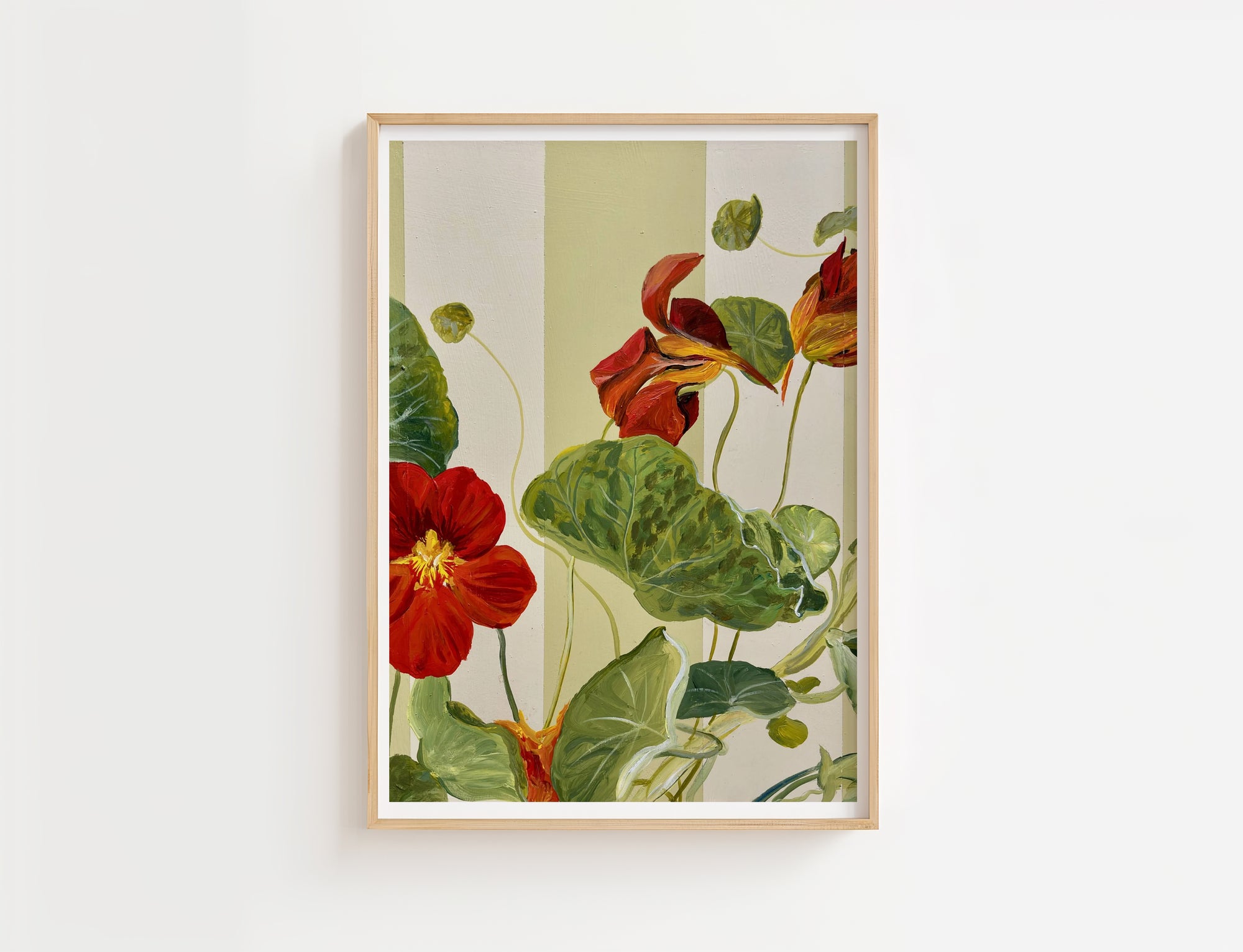 Little Red Nasturtium