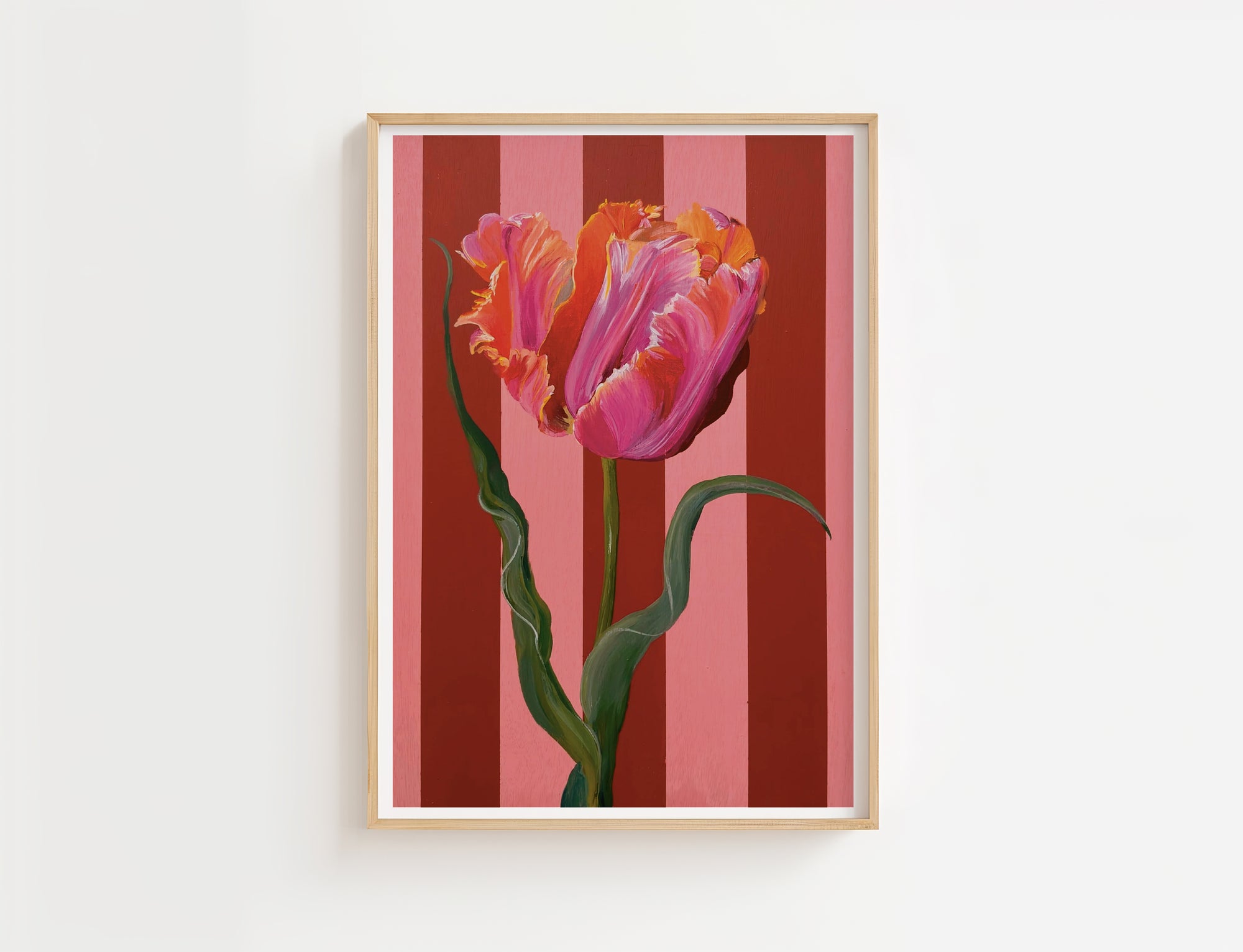 Pink Tulip in Bloom Print