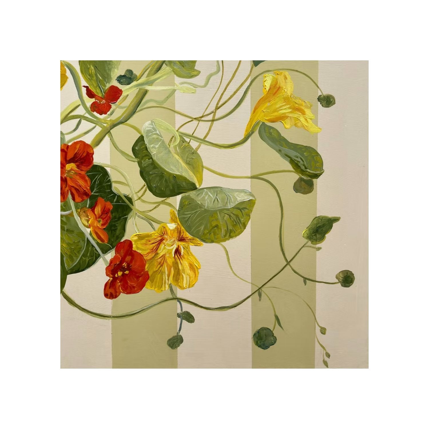 Wild Nasturtium Print