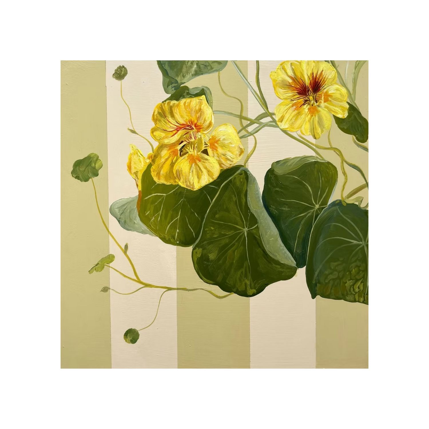 Yellow Nasturtium Print