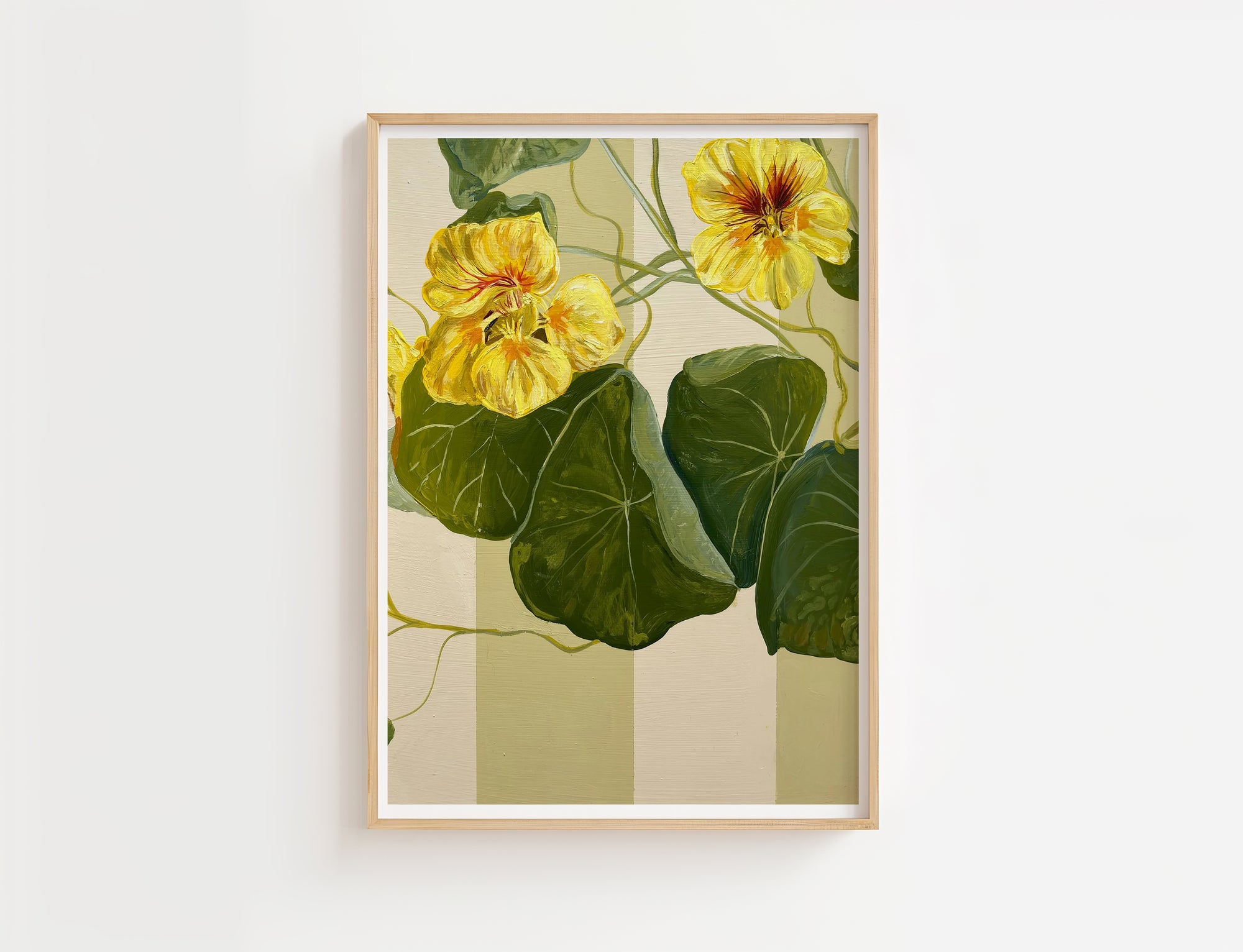 Little Yellow Nasturtium