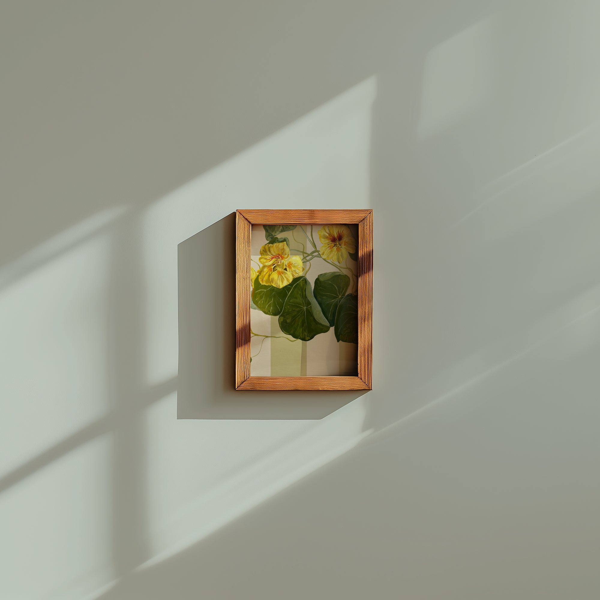 Little Yellow Nasturtium